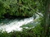 Okere Falls

Trip: New Zealand
Entry: Hamilton and the Coromandel
Date Taken: 02 Mar/03
Country: New Zealand
Viewed: 757 times